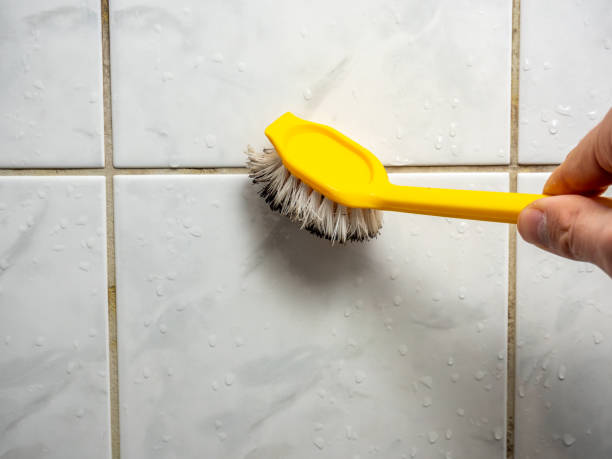 Best Water Damage Restoration  in Manly, IA