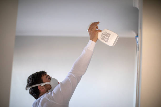 Best Professional Mold Removal  in Manly, IA
