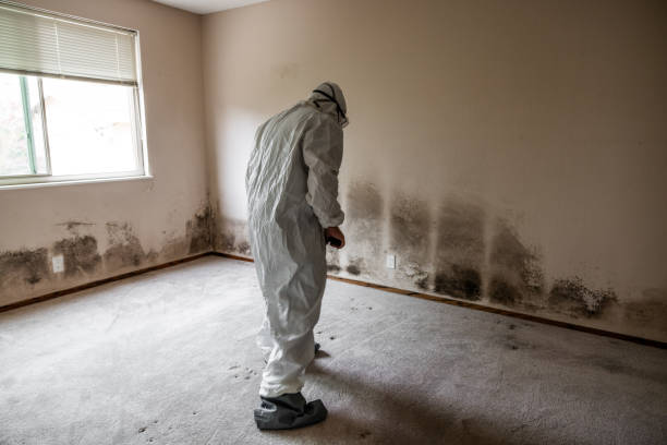 Crawl Space Mold Removal in Manly, IA